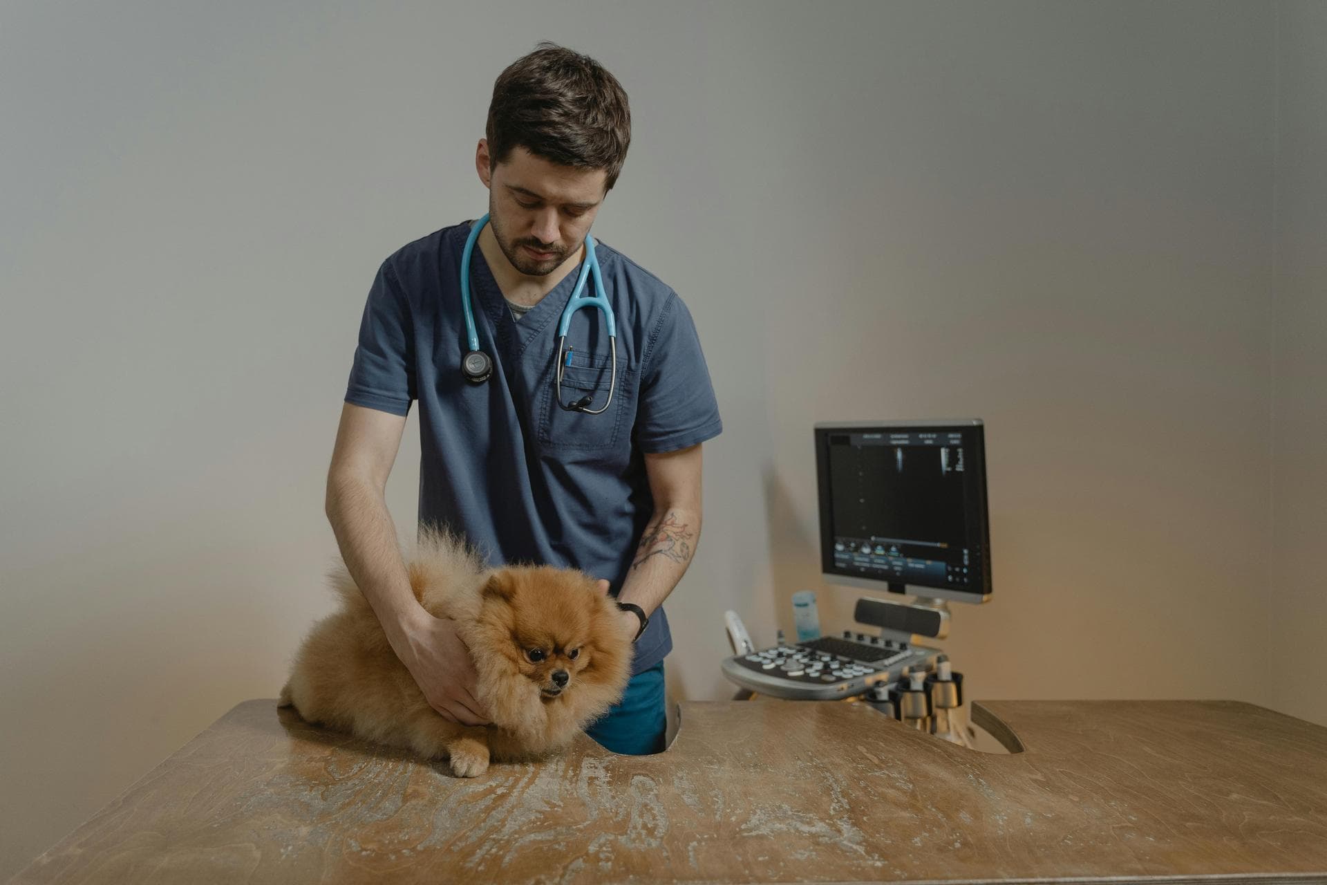 Vet Prices in Cody
